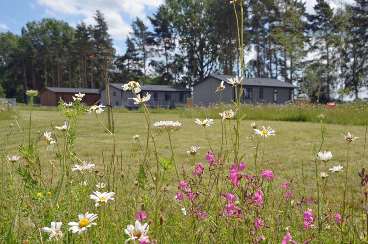 Hollicarrs - Sunflower Lodge ยอร์ค ภายนอก รูปภาพ
