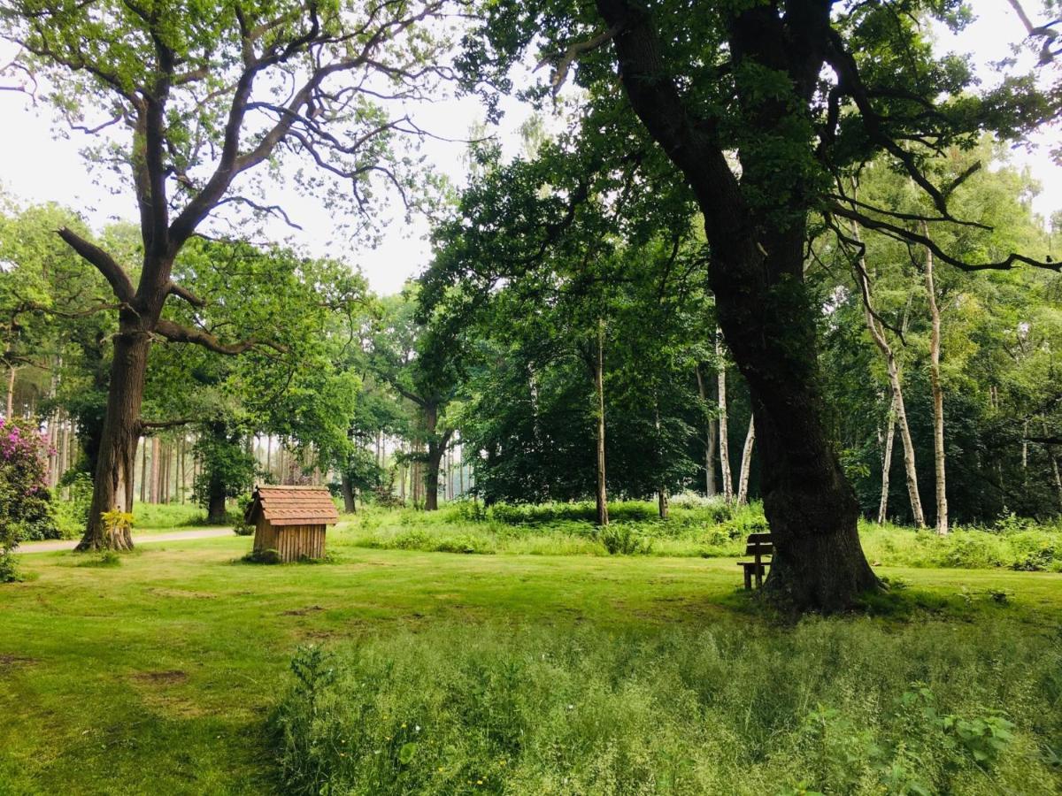 Hollicarrs - Sunflower Lodge ยอร์ค ภายนอก รูปภาพ